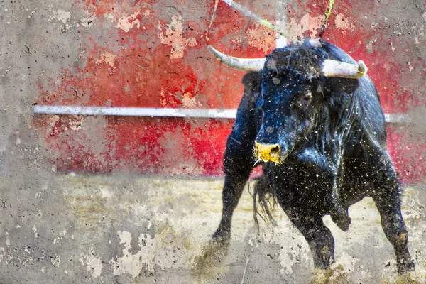 Immagine artistica con sfondo trama corrida — Foto Stock