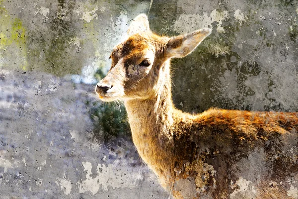 Artistic image with background texture deer head — Stock Photo, Image