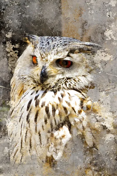 Gran búho de cuernos (Bubo virginianus) Intensa mirada, puerto artístico —  Fotos de Stock