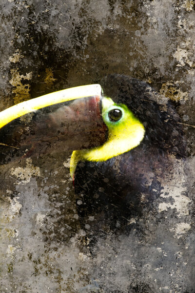 Artistic portrait of a toucan with textured background