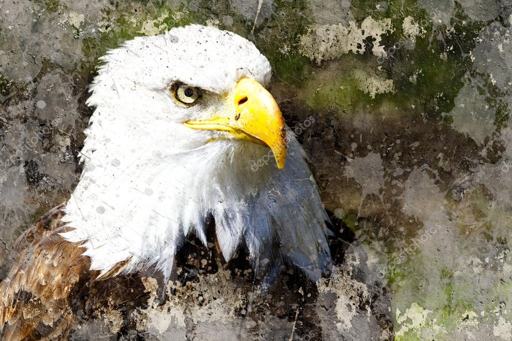 Artistic image with textured background, eagle head