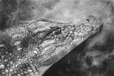 kalem ile yapılan bir timsah'ın sanatsal portresi