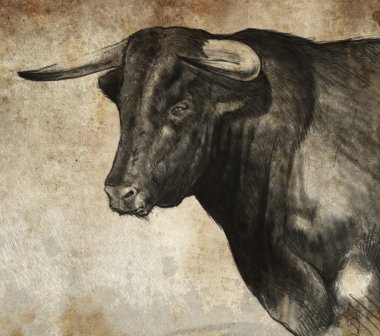 Sketch made with digital tablet of spanish bull clipart