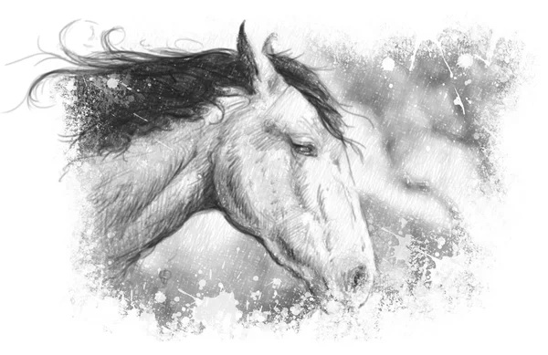 Illustration de cheval, tatouage, croquis — Photo