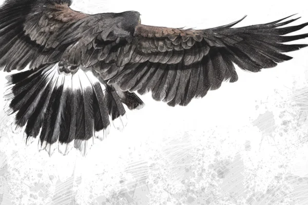 Low-flying eagle illustration over artistic background, made wit — Stock Photo, Image