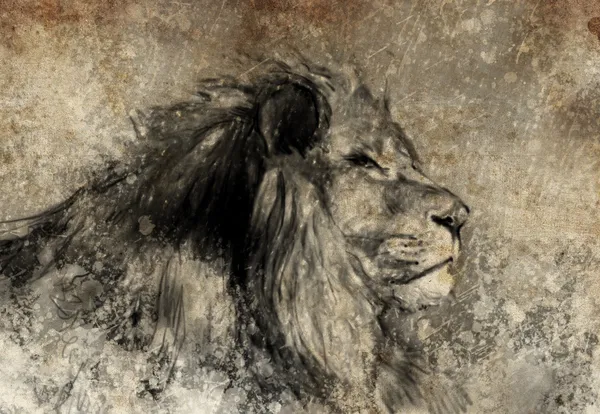 Illustration med digitala tablett, lion i sepia — Stockfoto