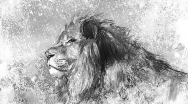 Lion tattoo illustration art, handmade drawing Stock Photo