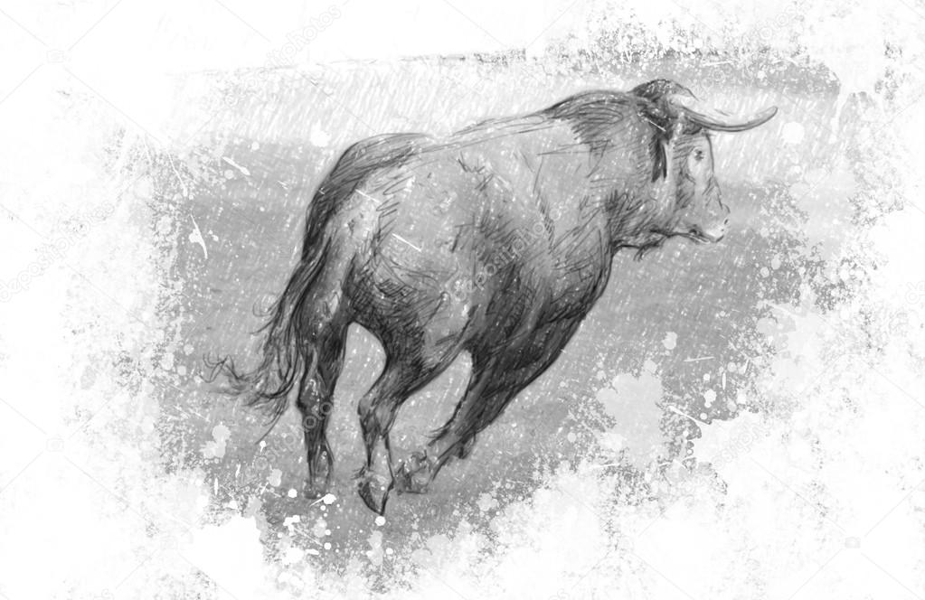 Art illustration, Spanish bull in the bullring with sand