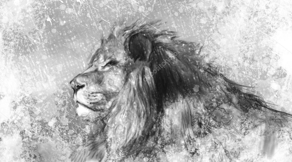 Lion tattoo illustration art, handmade drawing