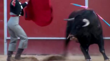 İspanya 'dan boğa güreşi filmi. Kara boğa