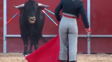 İspanya 'dan boğa güreşi filmi. Kara boğa