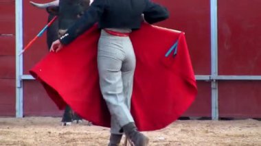 İspanya 'dan boğa güreşi filmi. Kara boğa