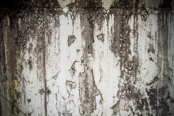 Kentsel doku kirli duvar — Stok fotoğraf