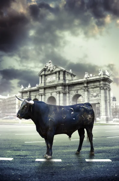 Tür von Alcala in Madrid, Stierkampf-Konzepte, Stier, Spanien — Stockfoto
