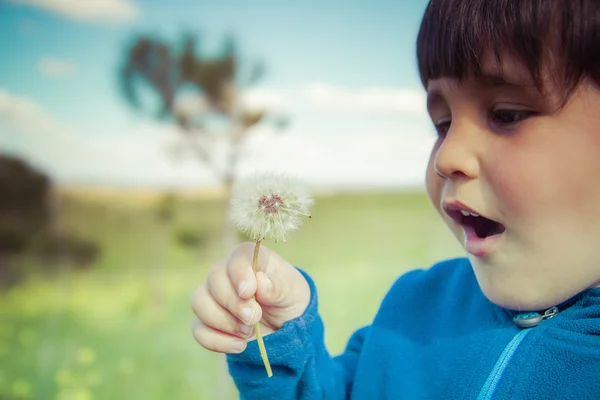 Summer, child in a field blowing a dandelion Stock Photo