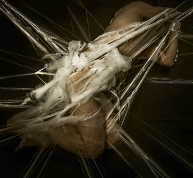 tehlike, çıplak adam örümcek ağı içinde yakalandı.