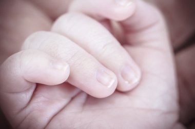 Yeni doğan bebek tutan el