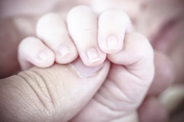Nyfödda barnet hålla hand — Stockfoto