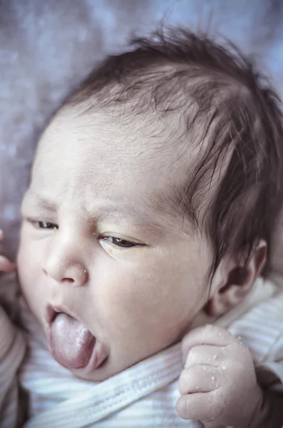 Νεογέννητο μωρό μέχρι τα κατσαρά αντίδια στον ύπνο σε μια κουβέρτα — Φωτογραφία Αρχείου
