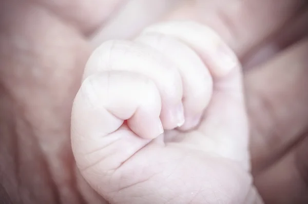 Yeni doğan bebek tutan el — Stok fotoğraf