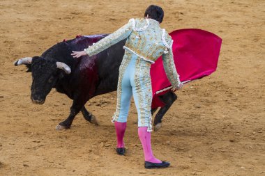 Jose antonio canales rivera, İspanyol Boğa güreşçisi.