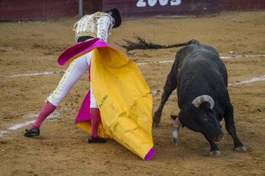 Bullfight in Camarma of Esteruelas. clipart