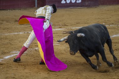 esteruelas camarma, boğa güreşi.