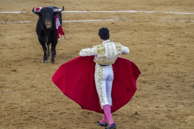 Bullfight in Camarma of Esteruelas. clipart
