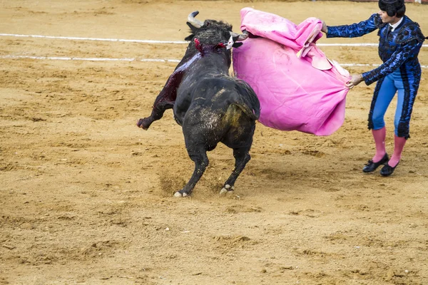 Bullfight in Camarma of Esteruelas, Madrid. 2011. — Stock Photo, Image
