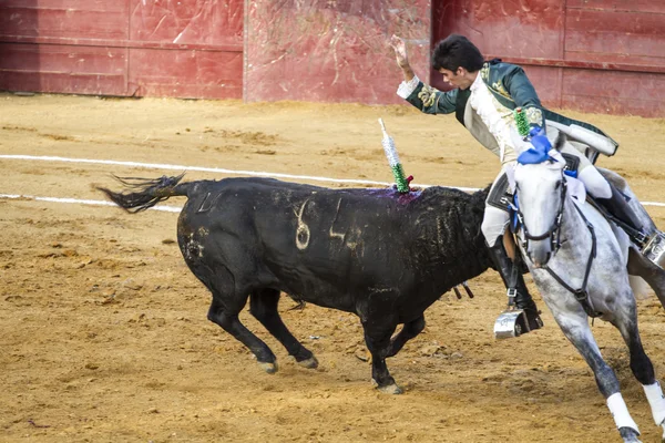 Bullfight in Camarma of Esteruelas, Madrid. 2011. — Stock Photo, Image