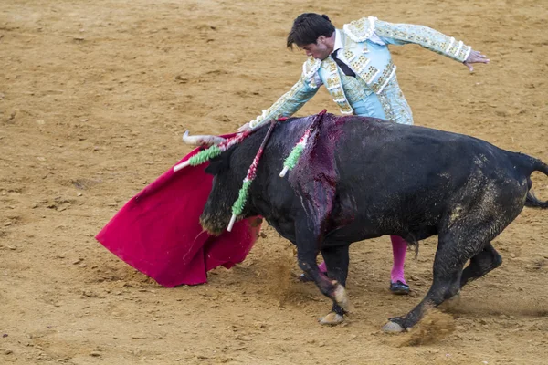 Jose antonio canales rivera, spansk tjurfäktare. — Stockfoto