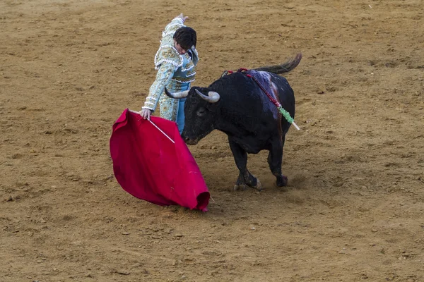 Jose Antonio Canales Rivera, Spanish bullfighter. — Stock Photo, Image
