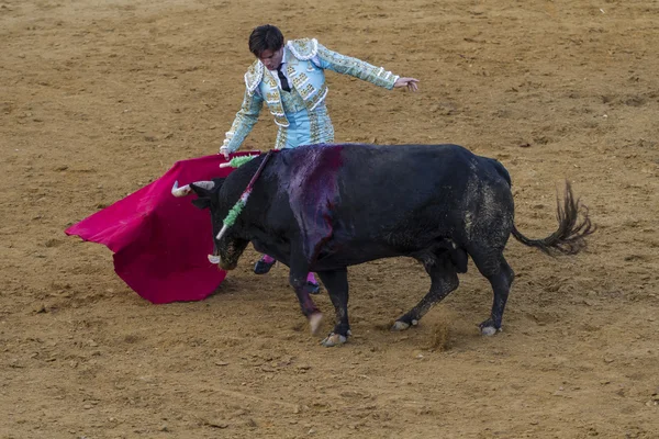 José Antonio Canales Rivera, torero español . —  Fotos de Stock