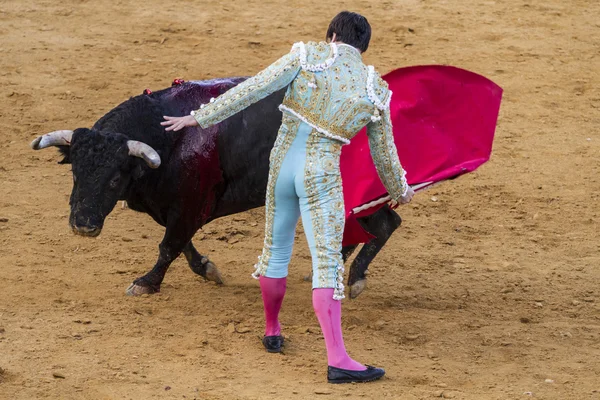 Jose antonio canales rivera, španělský toreador. — Stock fotografie