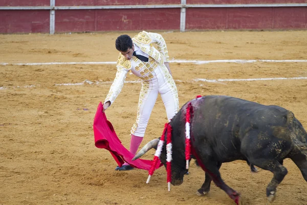 Bullfight em Camarma de Esteruelas . — Fotografia de Stock