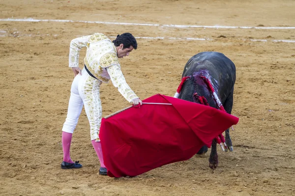 Tjurfäktning i camarma av esteruelas. — Stockfoto