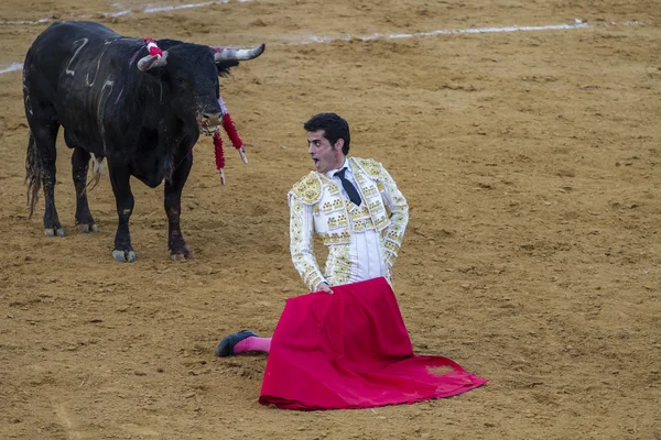 Bullfight în Camarma din Esteruelas . — Fotografie, imagine de stoc