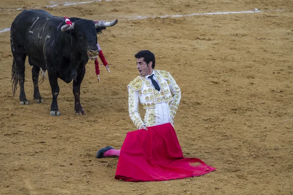 Bullfight in Camarma of Esteruelas. — Stock Photo, Image