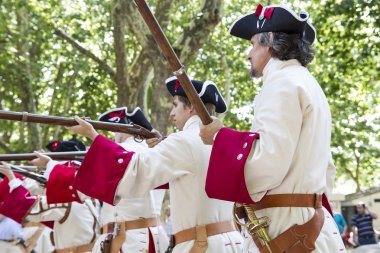 Veraset Savaşı canlandırma sırasında Kraliyet Muhafızı