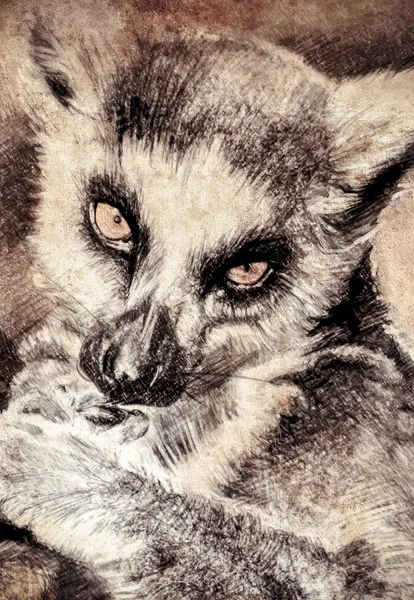 Lemur ใน sepia — ภาพถ่ายสต็อก