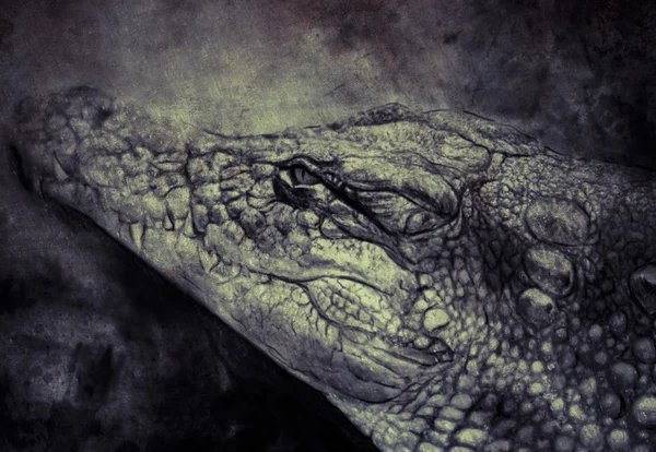 Ilustração de crocodilo — Fotografia de Stock