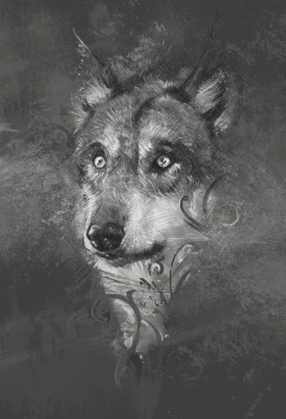 Wolf illustration. Royalty Free Stock Images