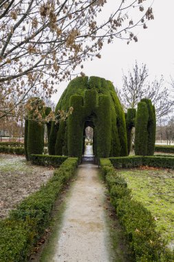 Jardin del Principe.
