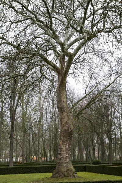 Piękne ogrody pałacu Aranjuez — Zdjęcie stockowe