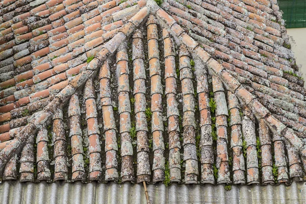 Evin çatısı — Stok fotoğraf