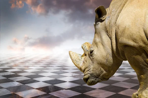 Rinoceronte poderoso — Fotografia de Stock