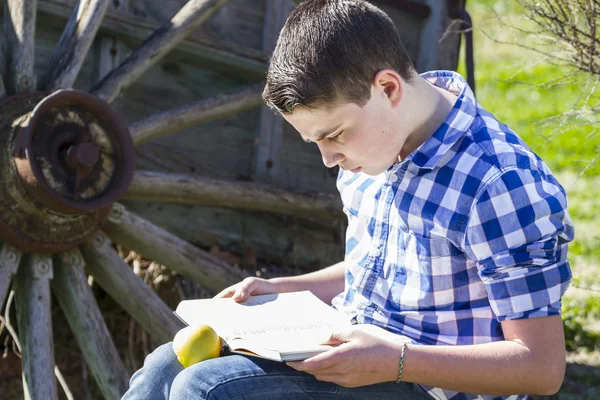 Ragazzo che legge un libro all'aperto — Foto Stock