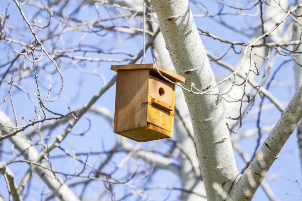 Bird house on the tree — Stock Photo, Image