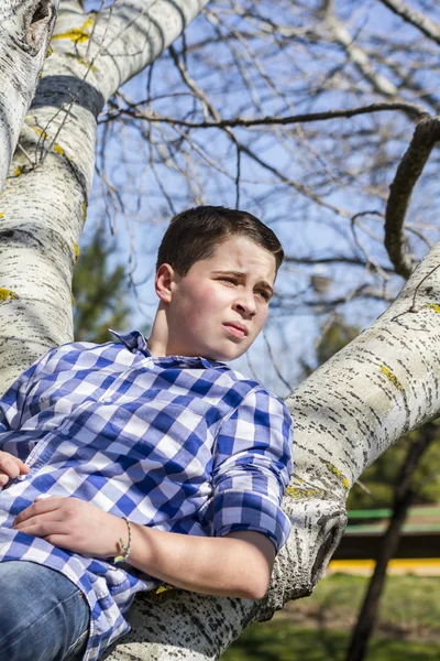Boy on a tree in park — Stock Photo, Image