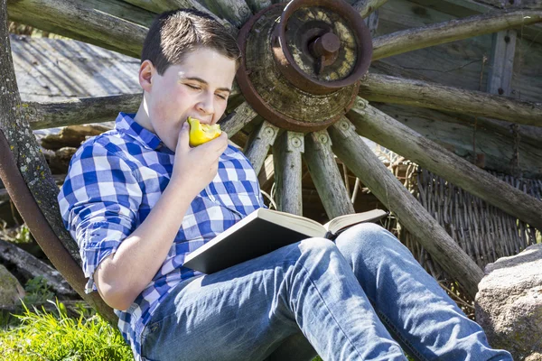 Young boy reading a book